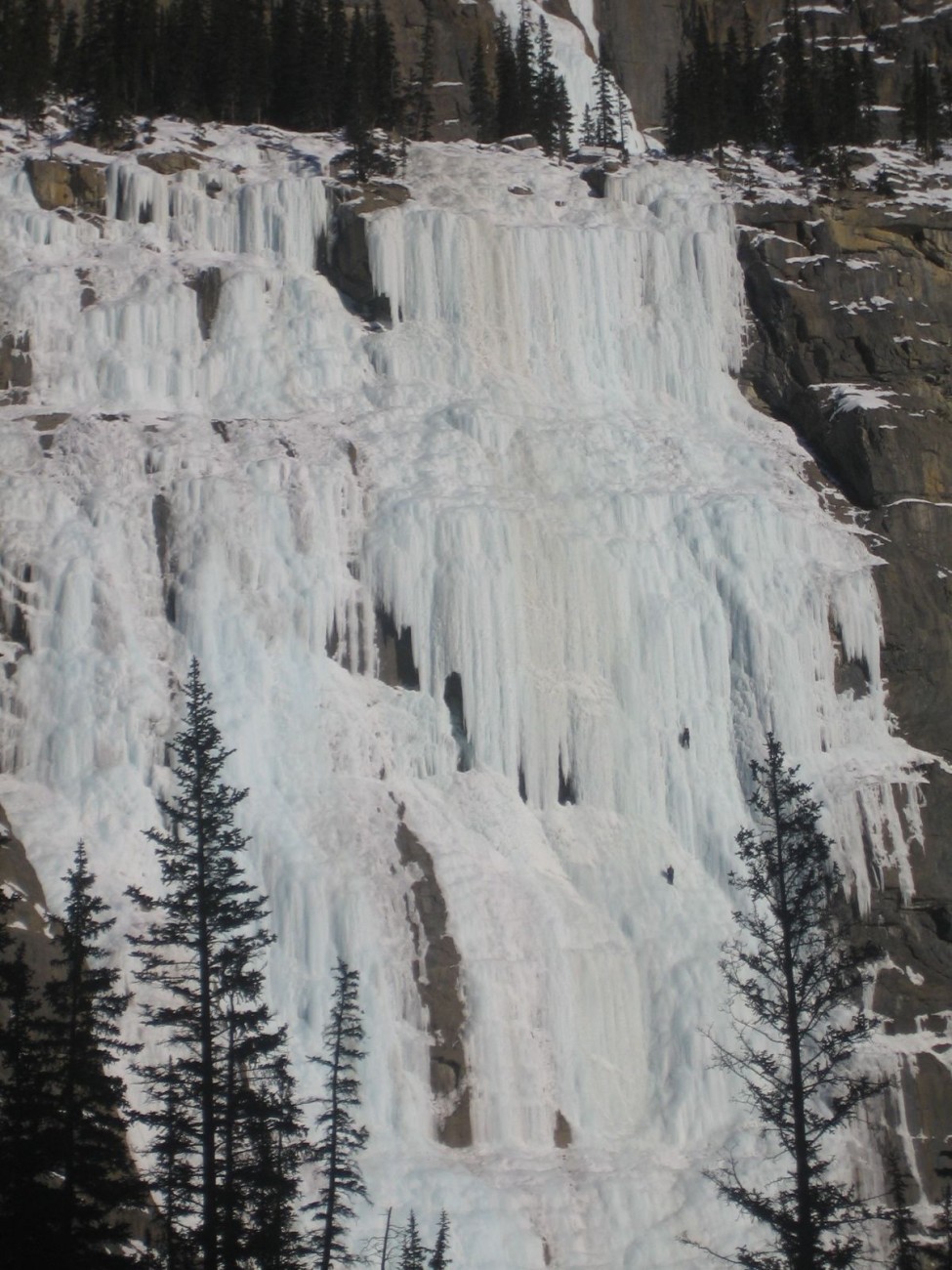 Champagne Powder in Alberta08