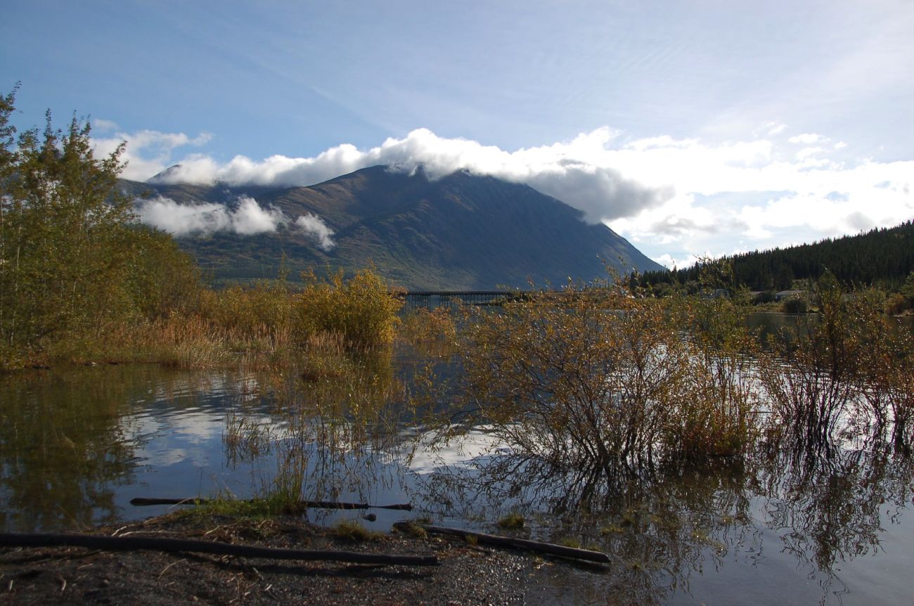 Die kleinste Wüste der Welt08