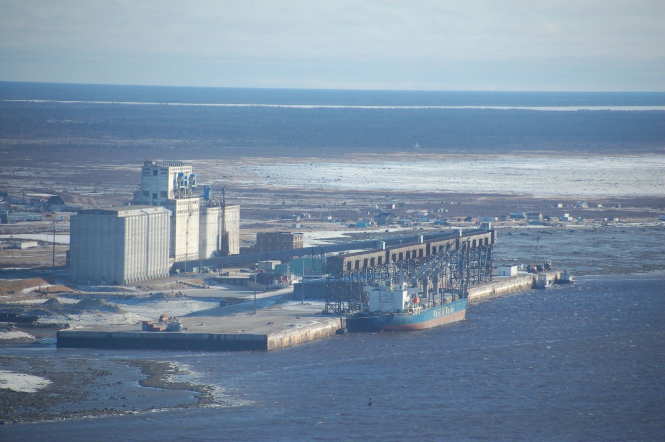 Eisbären in Manitoba01