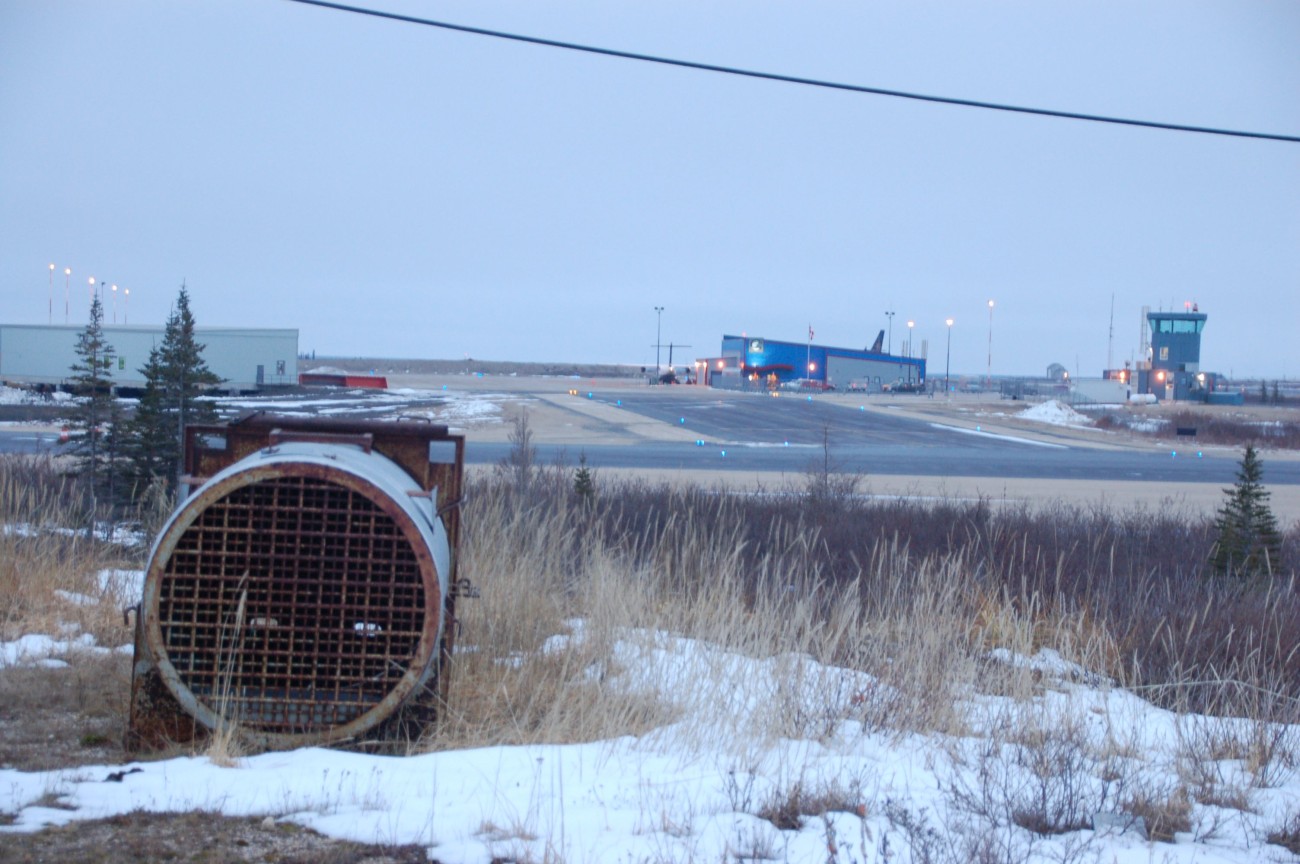 Eisbären in Manitoba27
